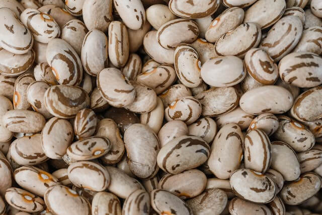Pinto Beans