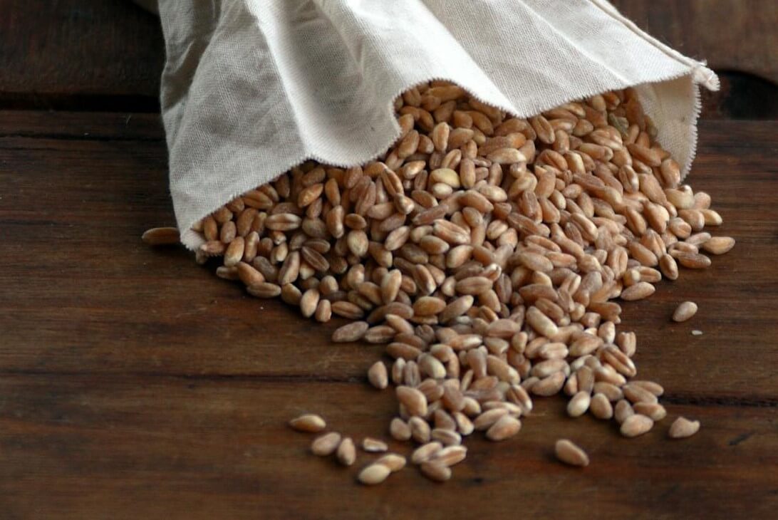 Italian Farro