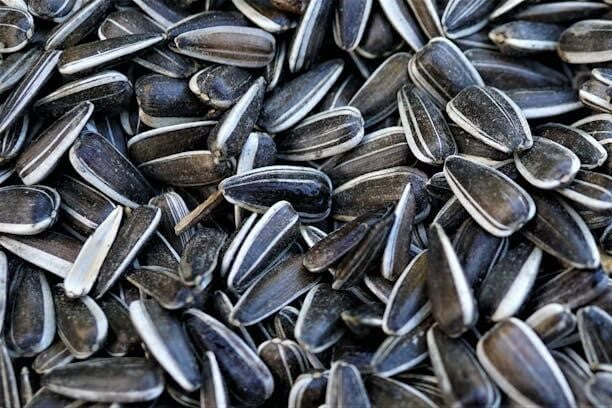 Sunflower Seeds